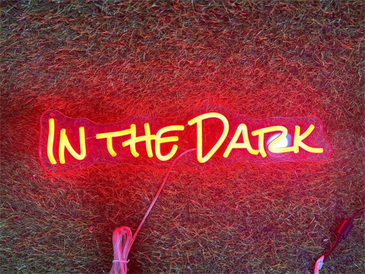 Brighten Up Your Wedding, Home, or Bar with the Versatile Custom In The Dark LED Neon Sign.