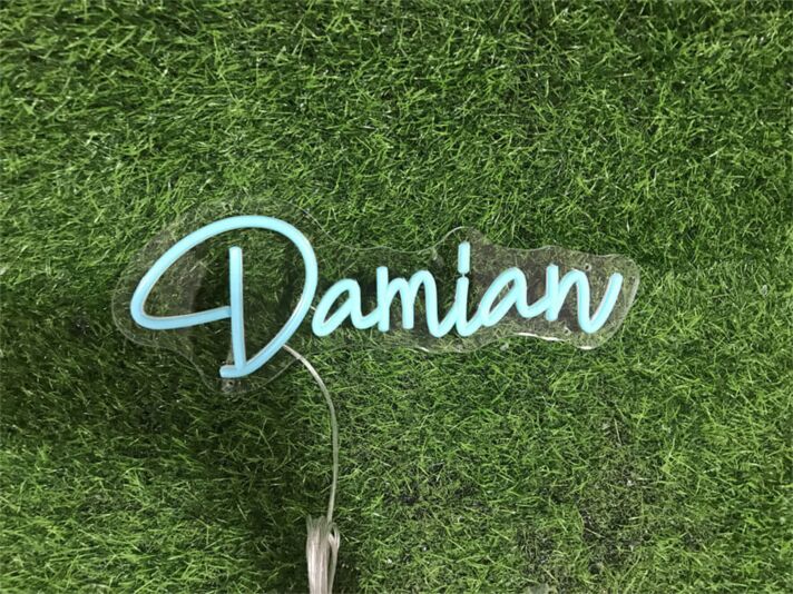 Bring Your Space to Life: Personalize Custom Damian LED Neon Sign for Home, Office, Bar, and Wedding Ambiance.