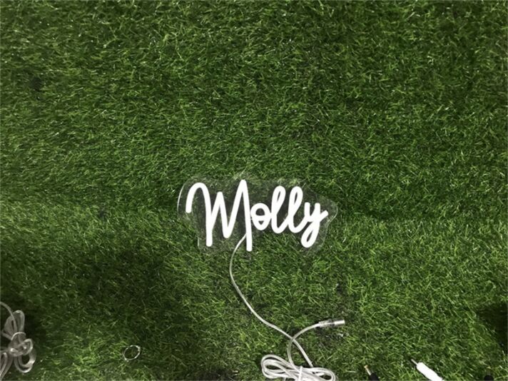 Elevate Your Space: Add a Glow to Your Home, Office, or Bar with the Personalize Custom Molly LED Neon Sign.