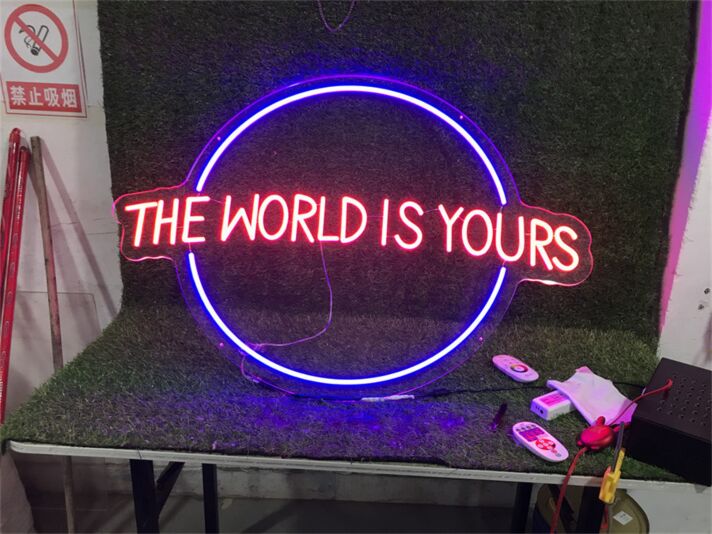 Brighten Your Office, Store, or Bar Ambience with The World Is Yours LED Light LED Neon Sign.
