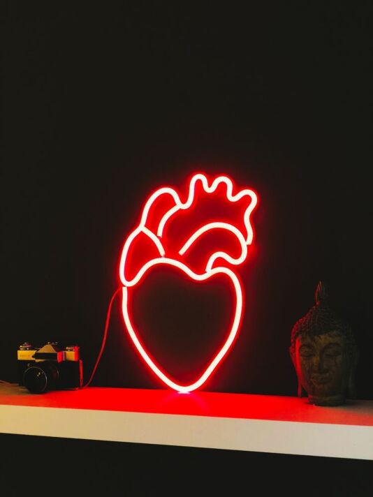 Anatomical Heart – Led Neon Sign