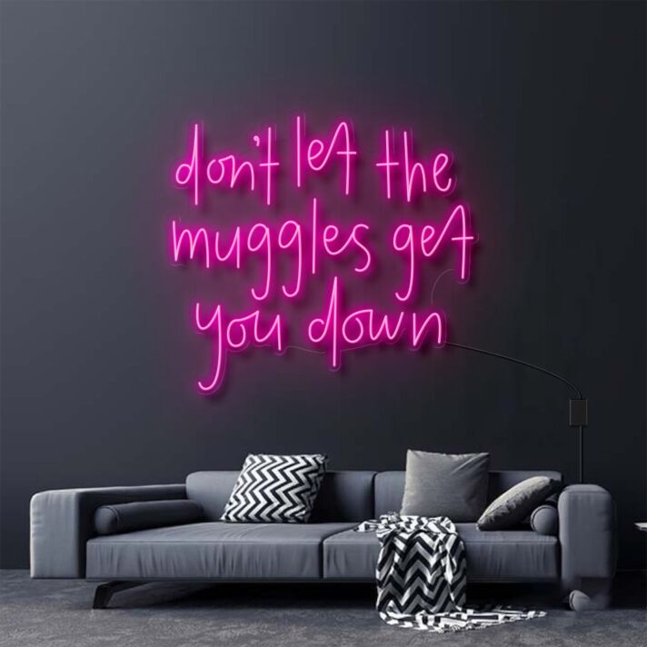 Dont Let The Muggles Get You Down Harry Potter Neon Sign