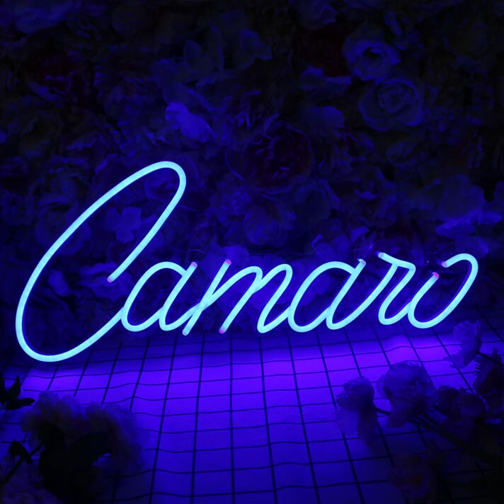 Camano Neon Sign