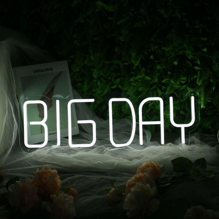 BIG DAY White Neon Sign