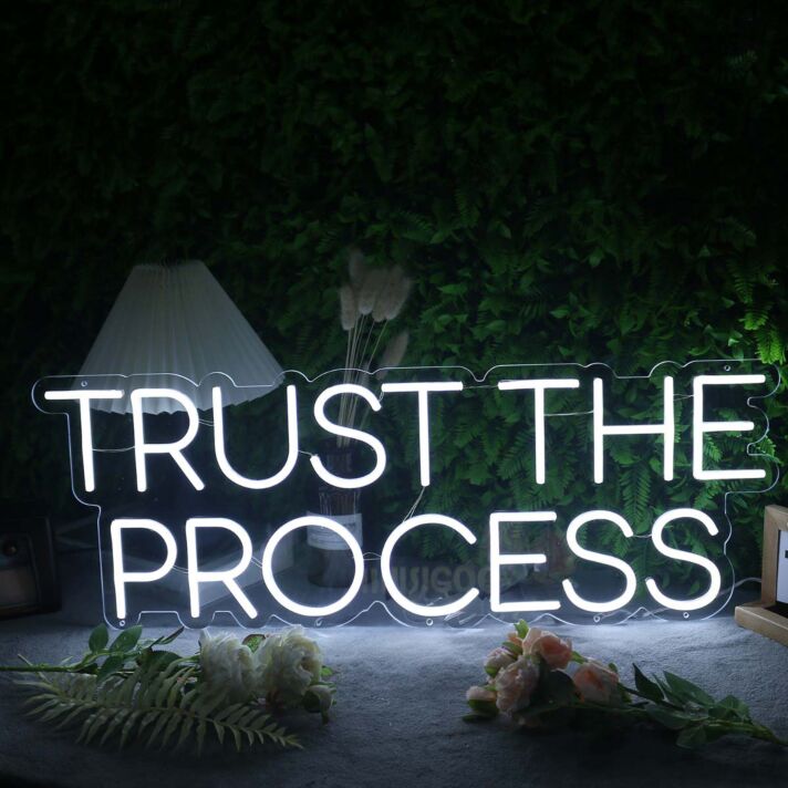 Trust The Process White Neon Sign