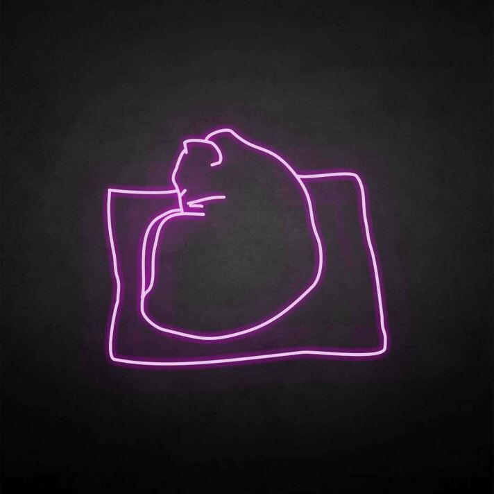 'The cat on the pillow' neon sign