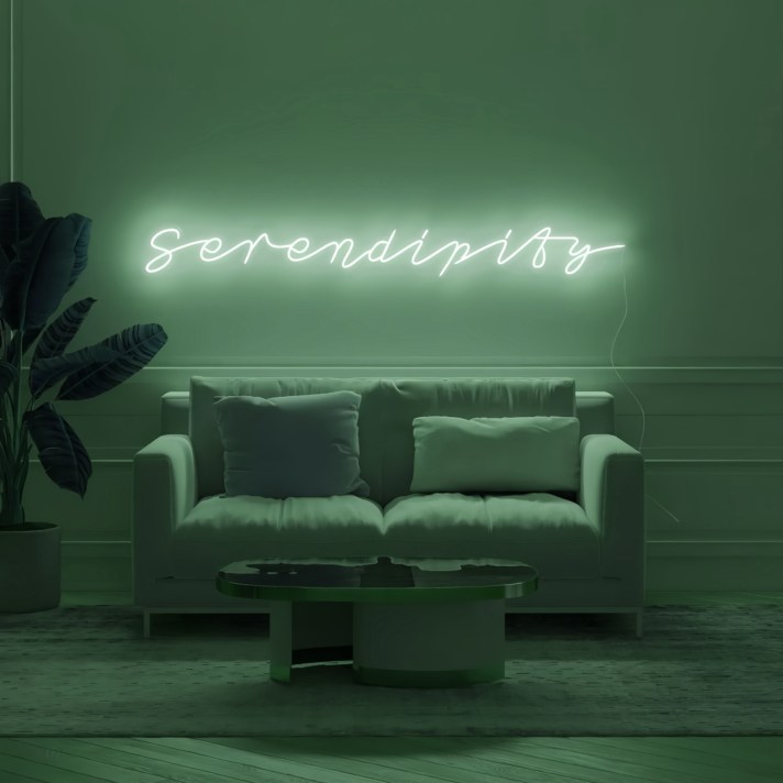 Neon Sign Serendipity