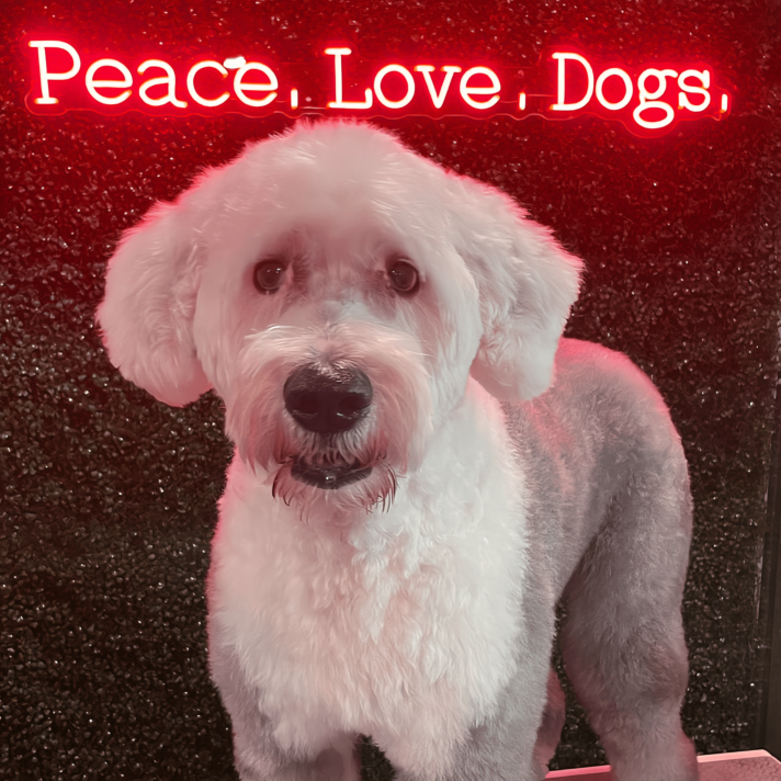 Peace Love Dogs: Illuminate Your Passion for Canine Companions with Our Neon Sign!