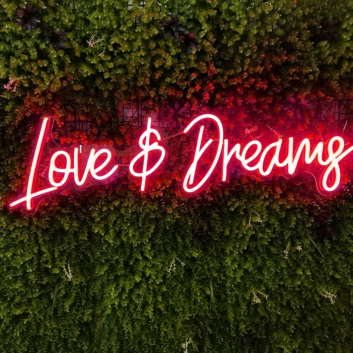 Love and Dreams: Illuminate Your Space with Romantic Neon Glow