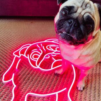 Cutie The Pug Neon Sign for Pet Lovers