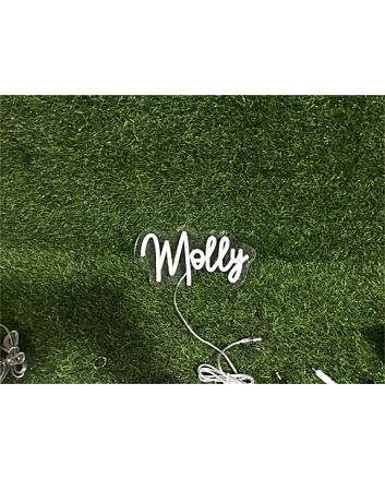 Elevate Your Space: Add a Glow to Your Home, Office, or Bar with the Personalize Custom Molly LED Neon Sign.