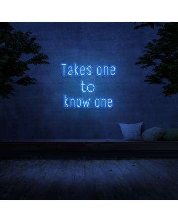 &#39;Takes One To Know One&#39; Neon Sign