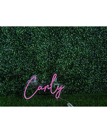 Brighten Your Space: Canly LED Neon Sign for Home Decor, Office Enhancements, Storefronts, Bars, Weddings, and Celebratory Occasions