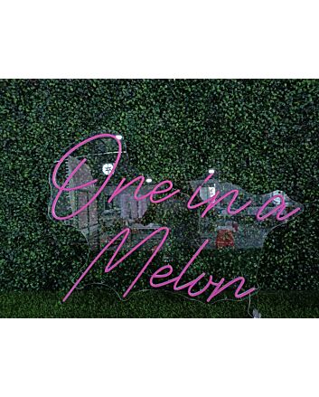 Brighten Up Your Bar, Office, or Wedding with the One In A Melvn Pink LED Neon Sign.