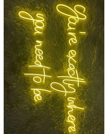 Youre Exactly Where You Need To Be Pub Bar Decor Hanging Led Neon Sign