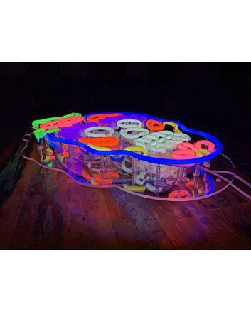 Calavera Skull Wall Mounted Neon Sign