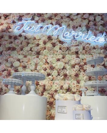 Just Married Neon Sign