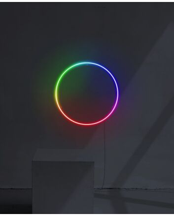 RGB Dynamic Color Circle Neon Sign