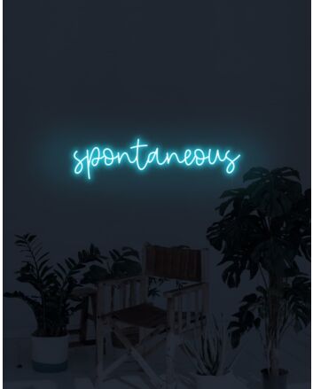 Spontaneous Neon Sign