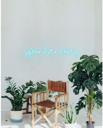 Spontaneous Neon Sign