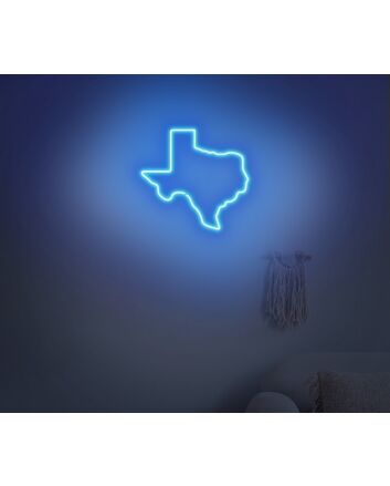 Texas Neon Sign