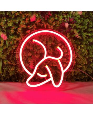 Mini Sleeping Dachshund Neon Sign