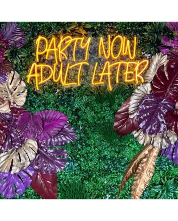 Party Now Adult Later Neon Sign