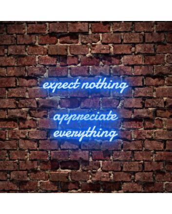 Expect Nothing Appreciate Everything Neon Sign