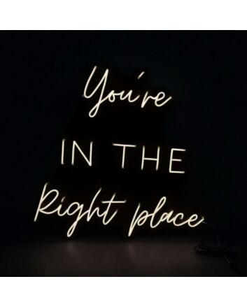Youre In The Right Place Neon Sign