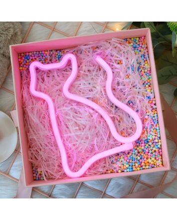 Cat Neon Acrylic Neon Light Sign