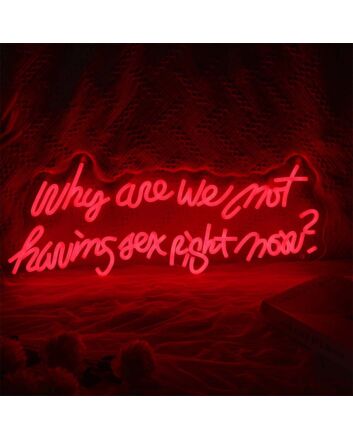 Why Are We Not Having Sex Right Now Neon Sign