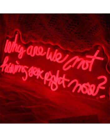 Why Are We Not Having Sex Right Now Neon Sign