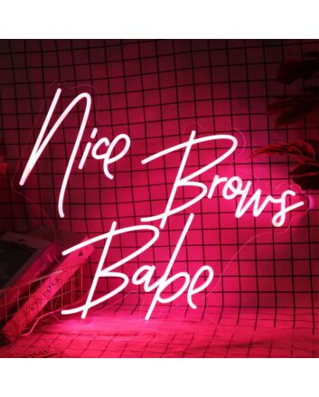 Nice Brows Babe Neon Sign