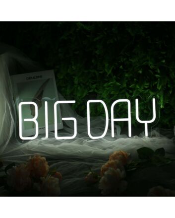 BIG DAY White Neon Sign