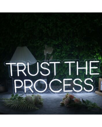 Trust The Process White Neon Sign