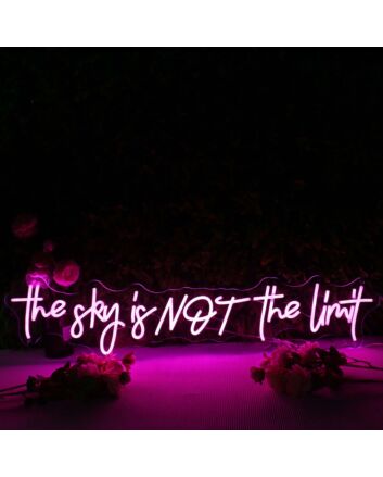 The Sky Is Not The Limit Pink Neon Sign