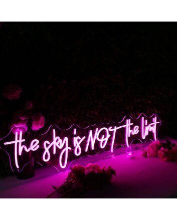 The Sky Is Not The Limit Pink Neon Sign