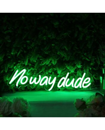 Noway Dude Green Neon Sign