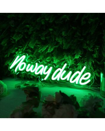 Noway Dude Green Neon Sign