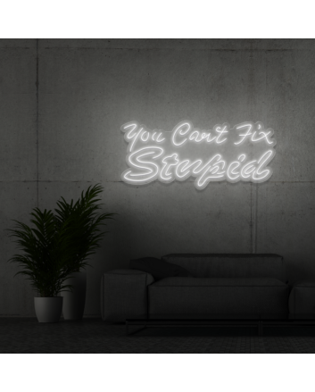 You can&#039;t fix stupid Neon Signs