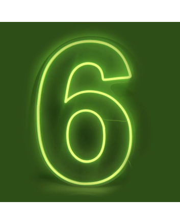Number 6 LED Neon Sign