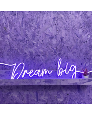 Dreaming  Big Neon Dreamscape for Visionaries