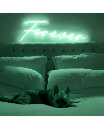 Forever with Neon Art