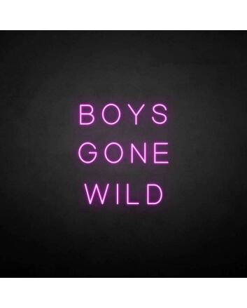 BOYS GONE WILD&#39; neon sign