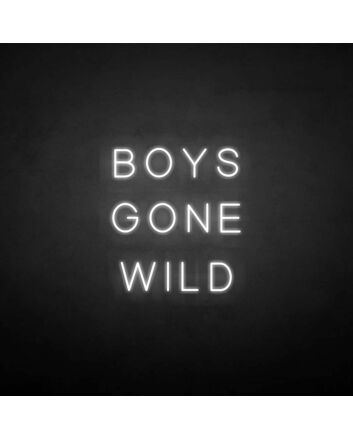 BOYS GONE WILD&#39; neon sign