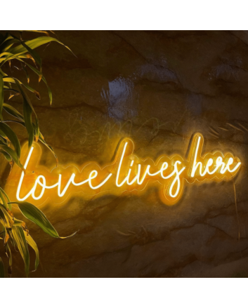 Love Live Here Neon Sign: Empower Your Space with Vibrant Love and Feminine Energy