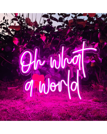 Oh What a World: Let Your Space Shine with Wonder!