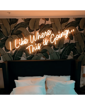 I Like Where This is Going Illuminated Neon Sign