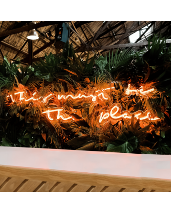 This Must Be The Place: Neon Sign to Illuminate Your Space