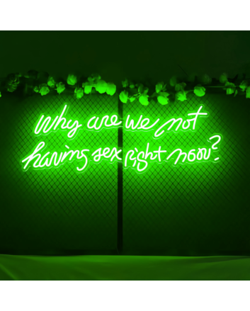 Why Are We Not Having Sex Right Now Neon Sign: Let Desire Light the Way